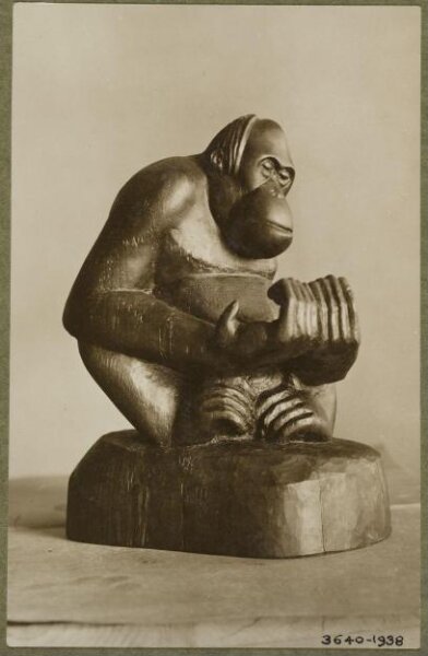 unknown, Photograph