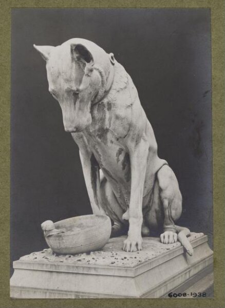 unknown, Photograph