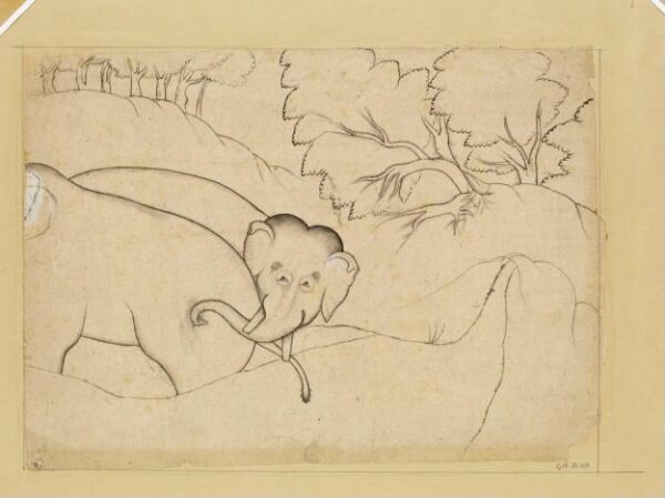Unknown, Drawing