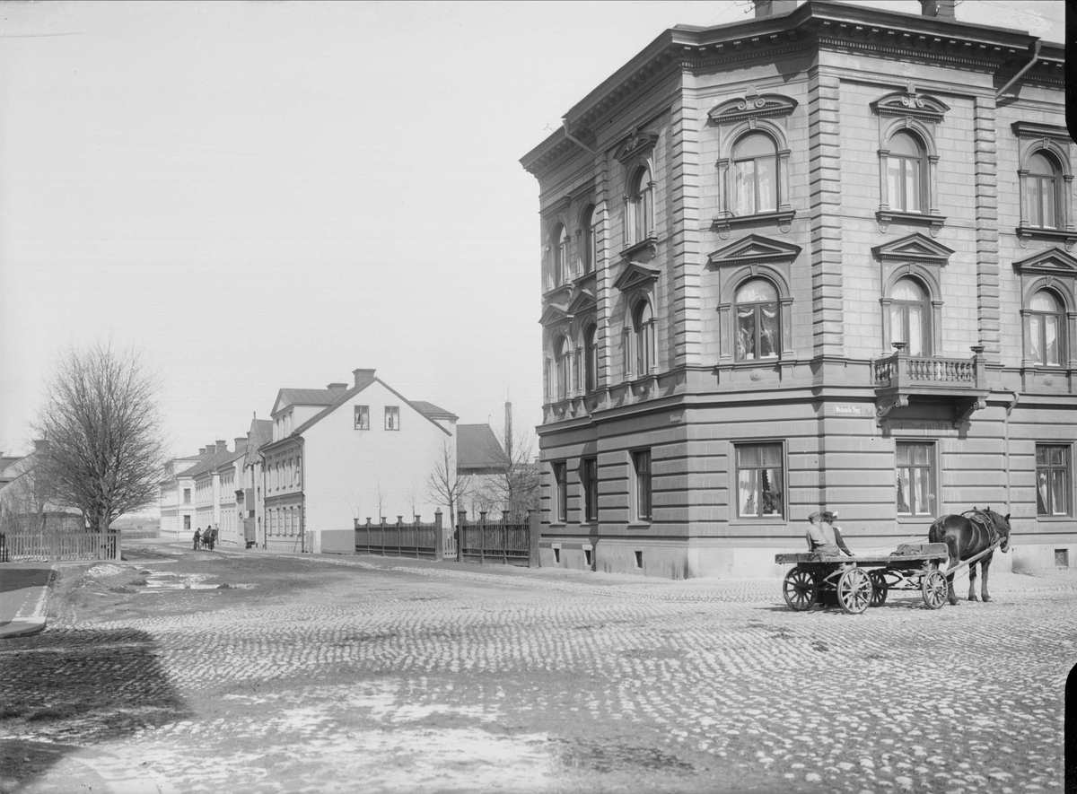Alfred Dahlgren, Salagatan - Vaksalagatan, Kvarngärdet, Uppsala 1901 - 1902