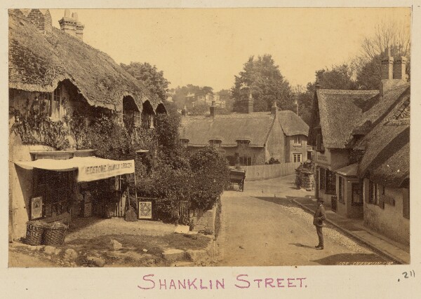Unknown, Shanklin Street