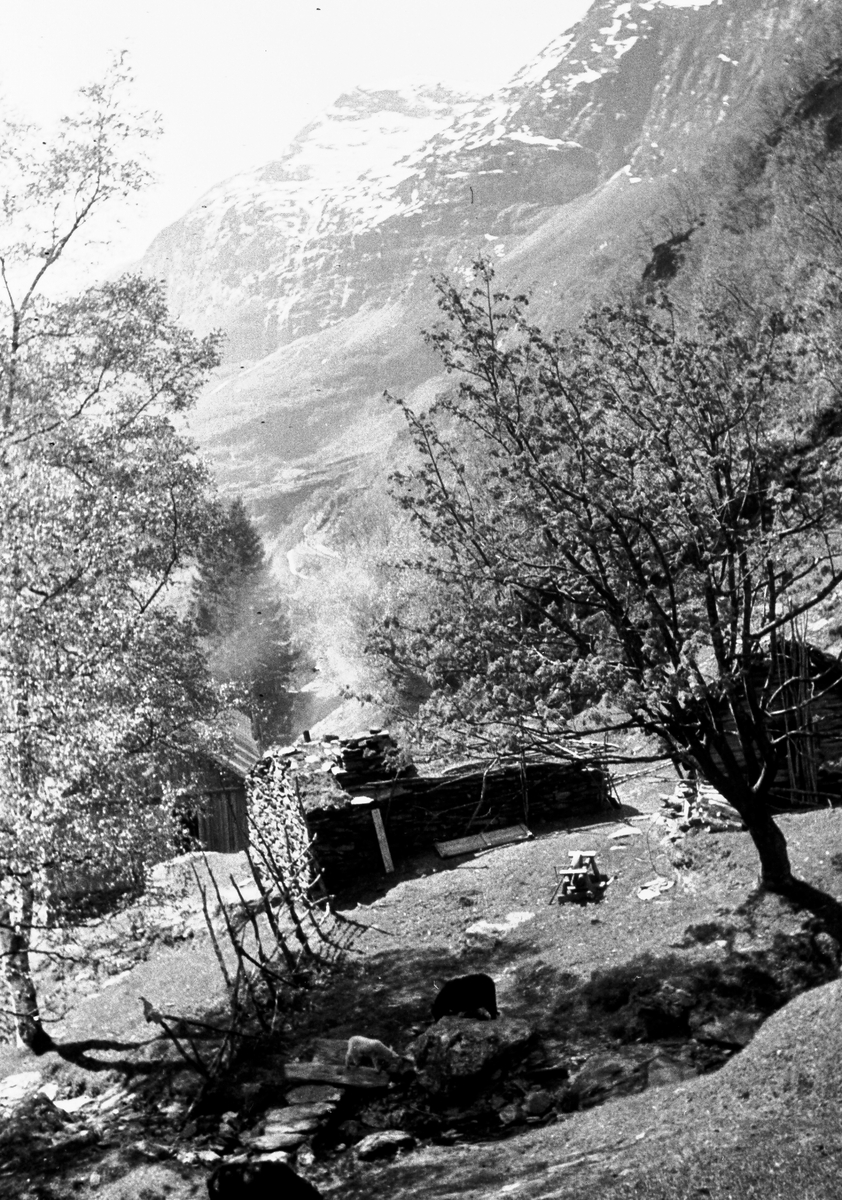 Anders Beer Wilse, Prot: Flåmsdalen fjellgård