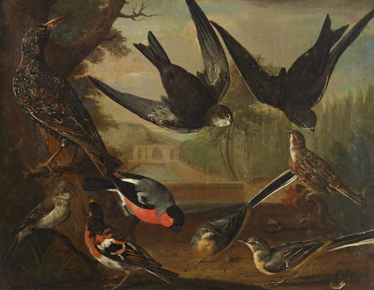 Charles Collins, British Birds (Cock Starling, Pair of Wagtails, Cock Bramble Finch, Cock Bullfinch, Cock Beam Bird and Pair of Swifts and a Cock Grasshopper Lark)