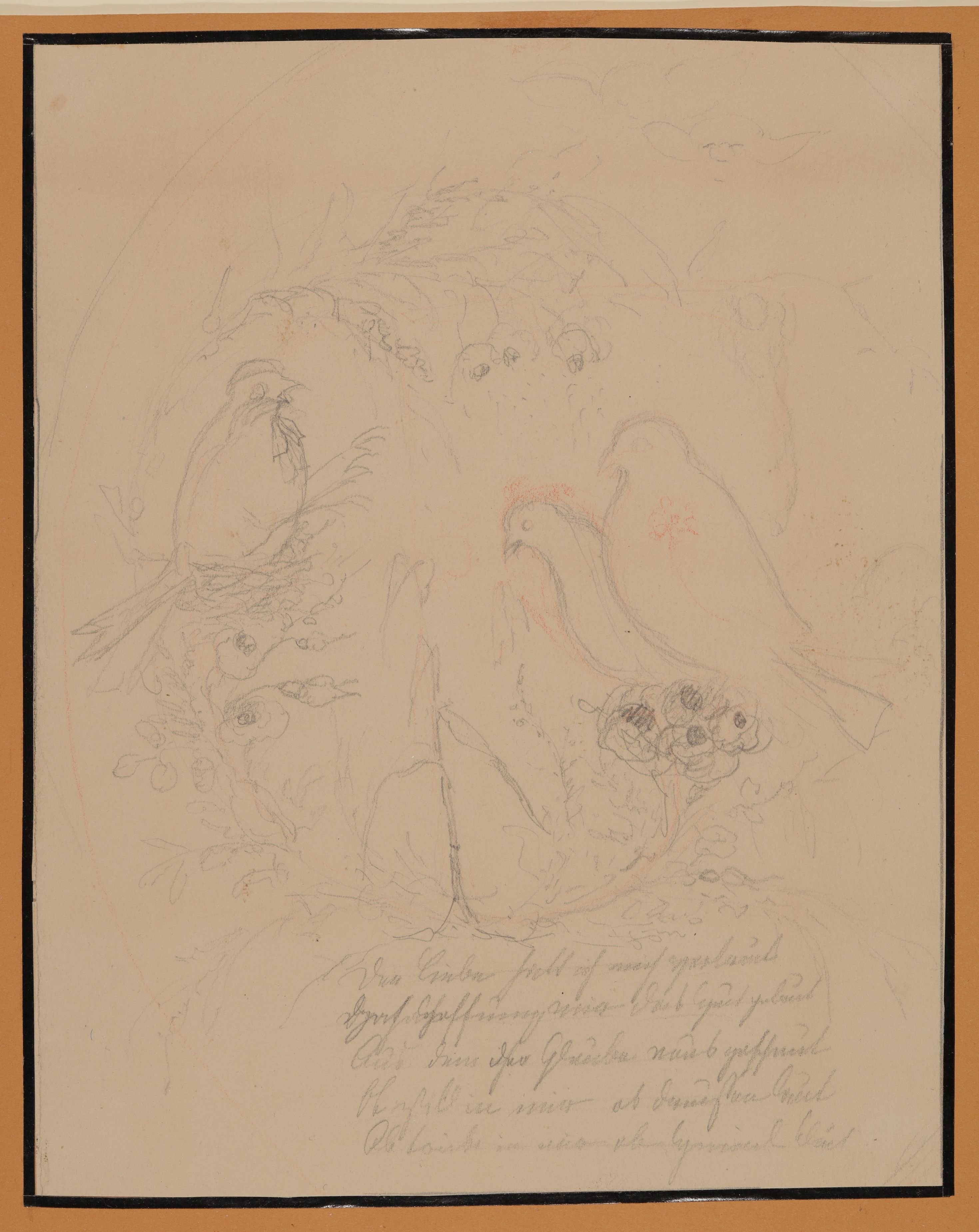 Armgart von Arnim, Vögel [aus der "geblümten Kassette"]