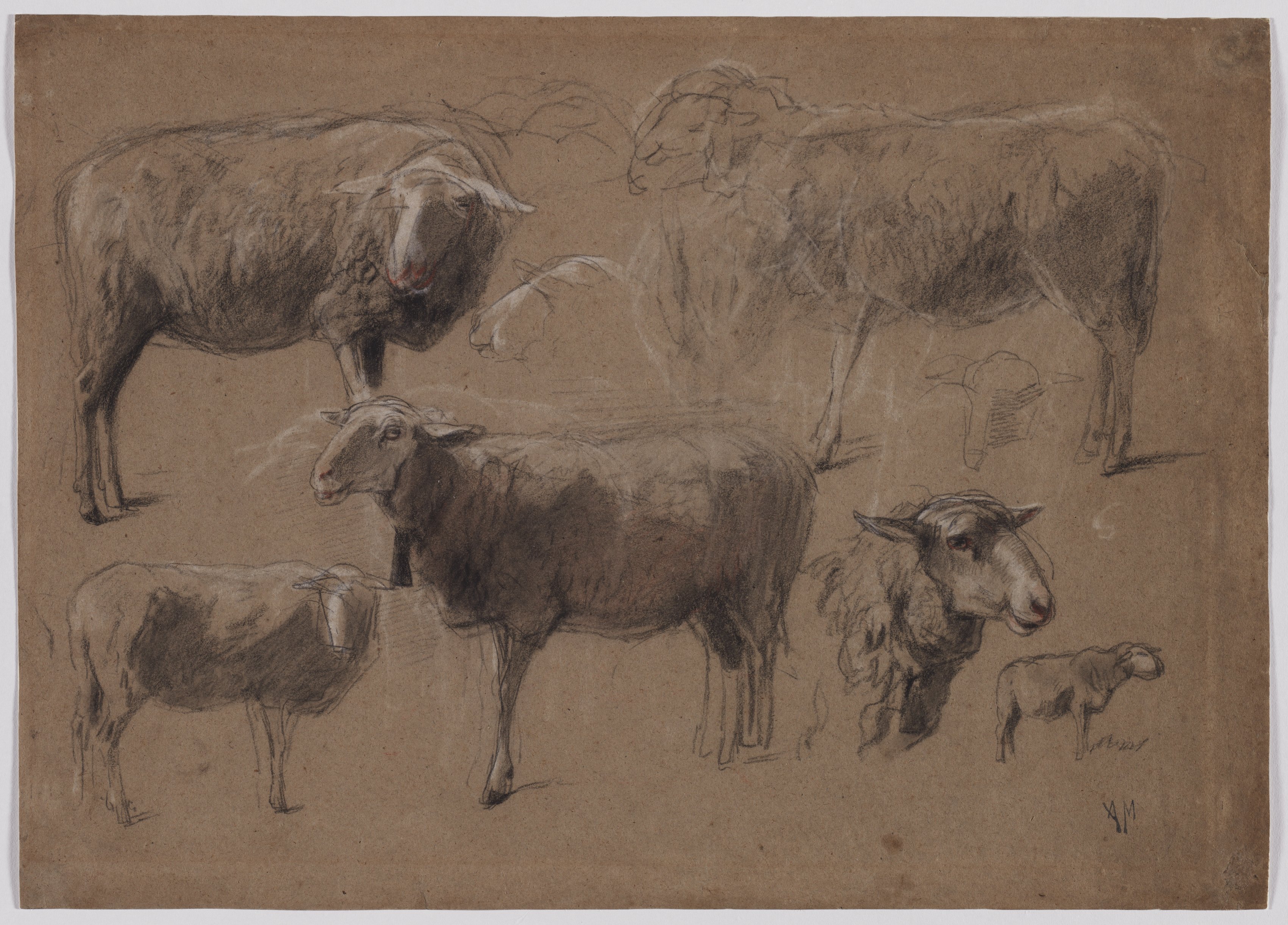 Anton Mauve, Studies of Sheep