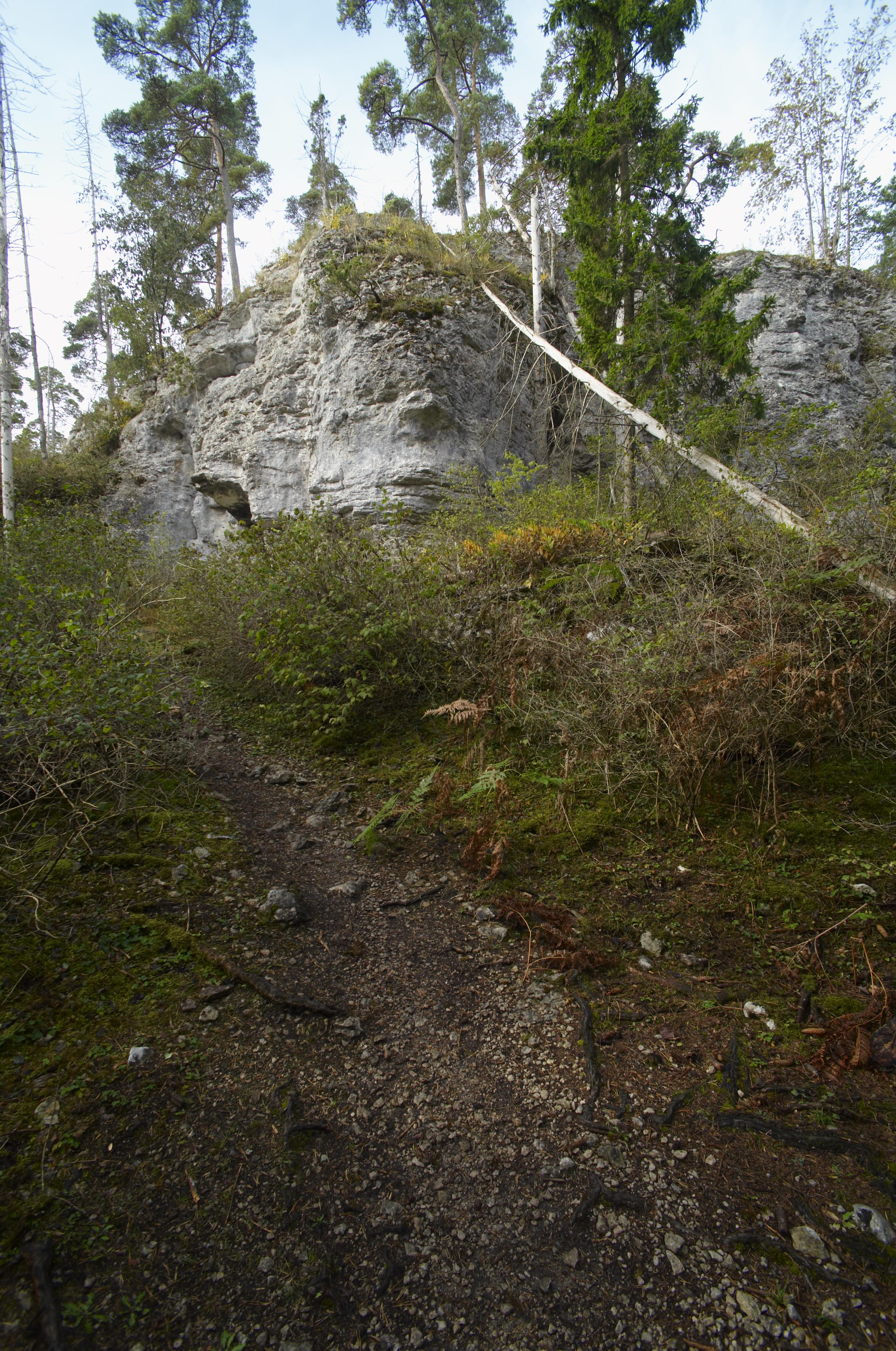 Bengt A Lundberg, Torsburgen