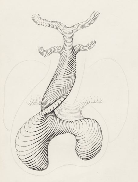 J Tinkelenberg, Embryonic heart