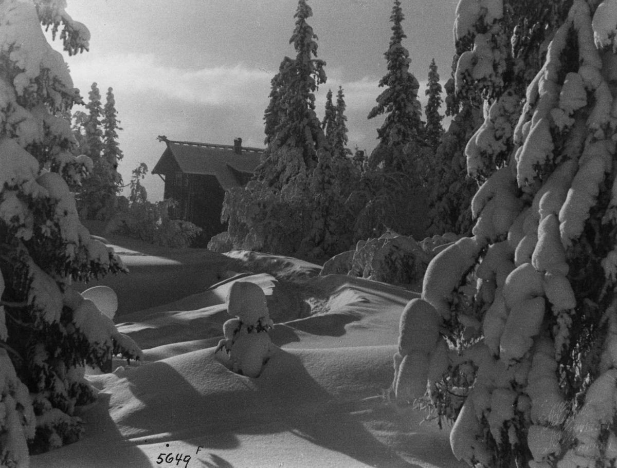 Anders Beer Wilse, Bebyggelse, Vinter, Sno