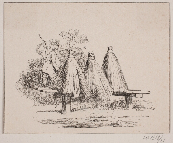 Adolph Kittendorff, Bien