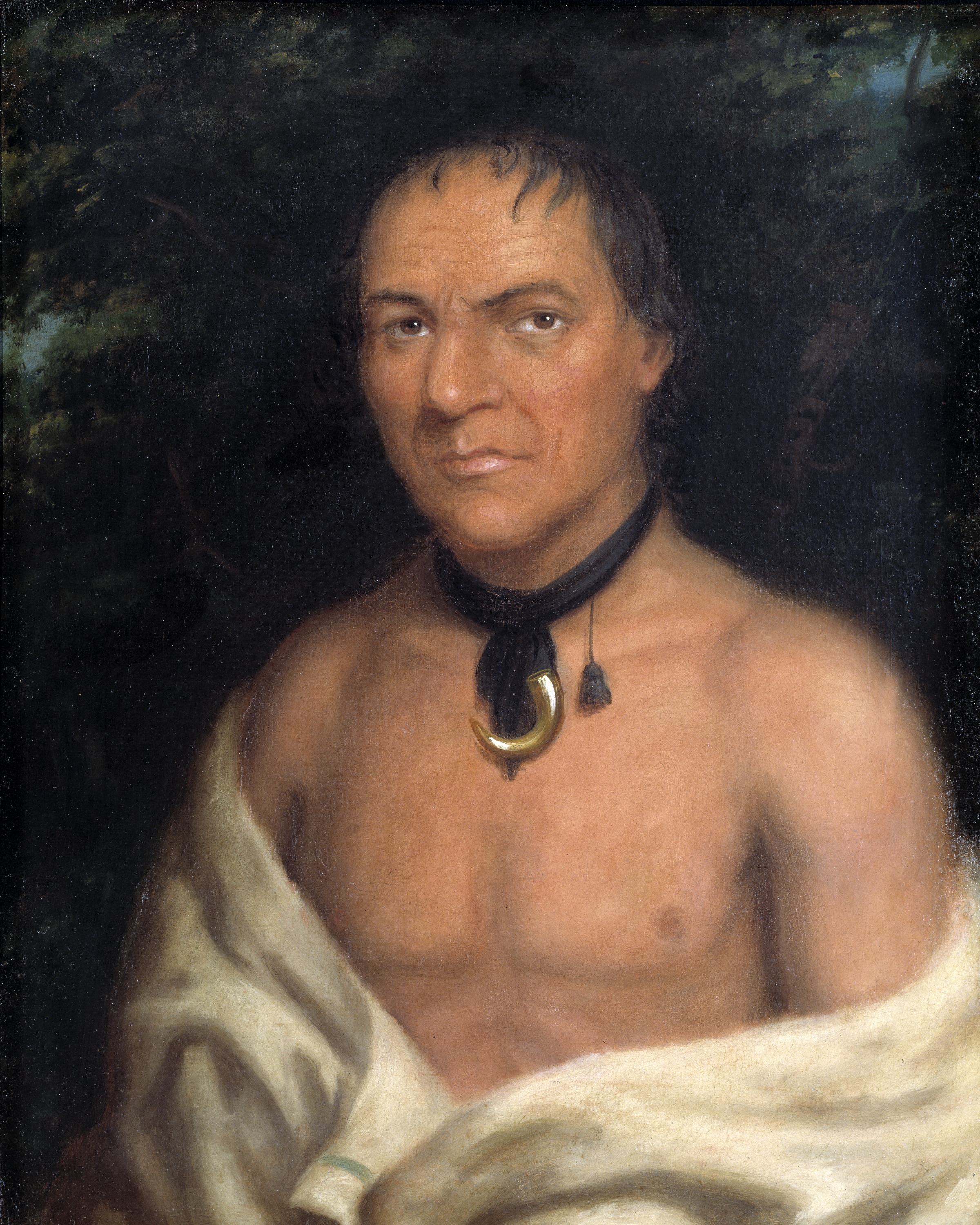 Charles Bird King, Co-sne-boin