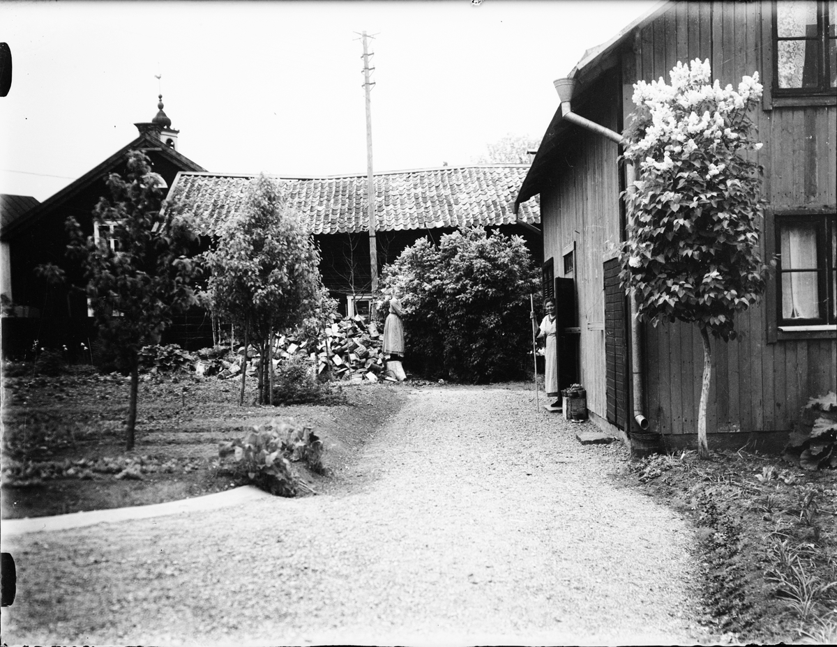 Skötsner-Edhlund, Ruth Skötsner and Brita Edhlund at Östhammar, Uppland