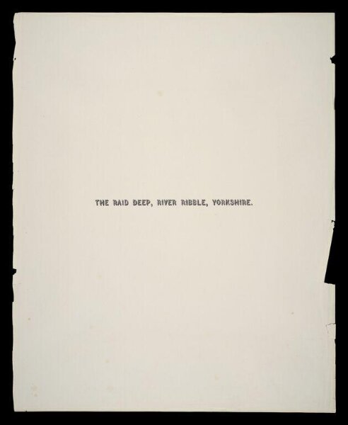 Fenton, Roger, Title page for the photograph 'The Raid Deep, River Ribble, Yorkshire Tintern Abbey'