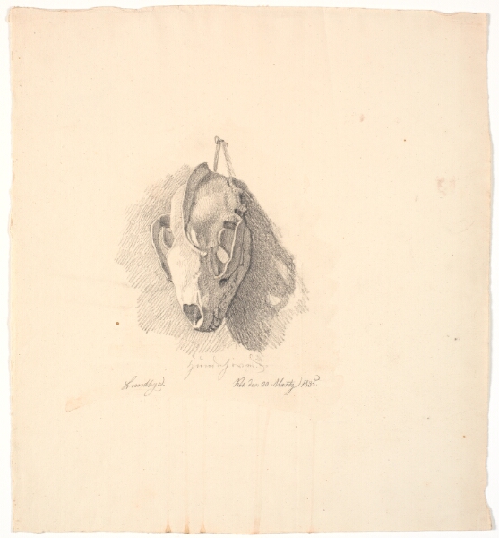 Johan Thomas Lundbye, Hundekranium