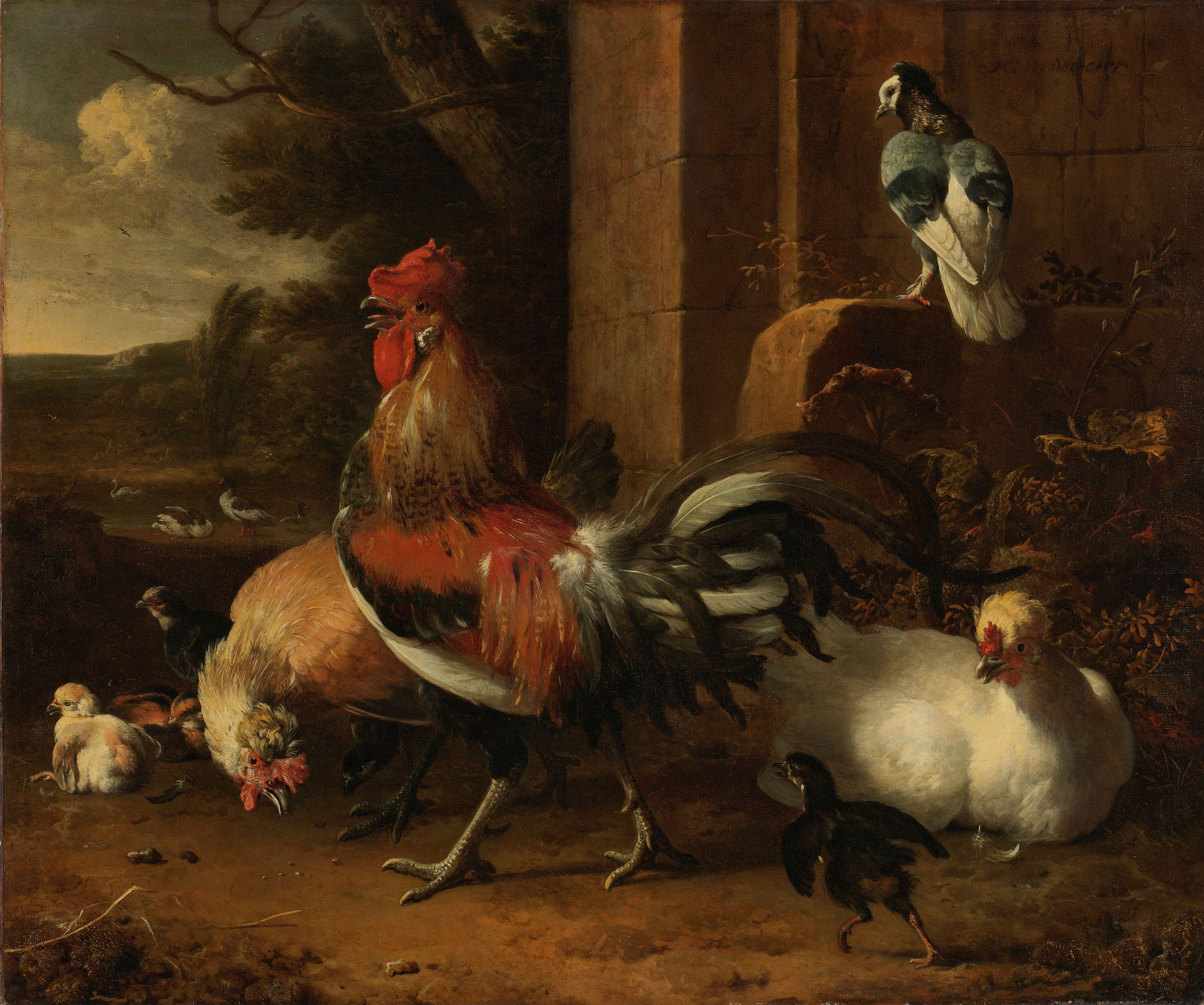 Melchior d'Hondecoeter, A poultry yard