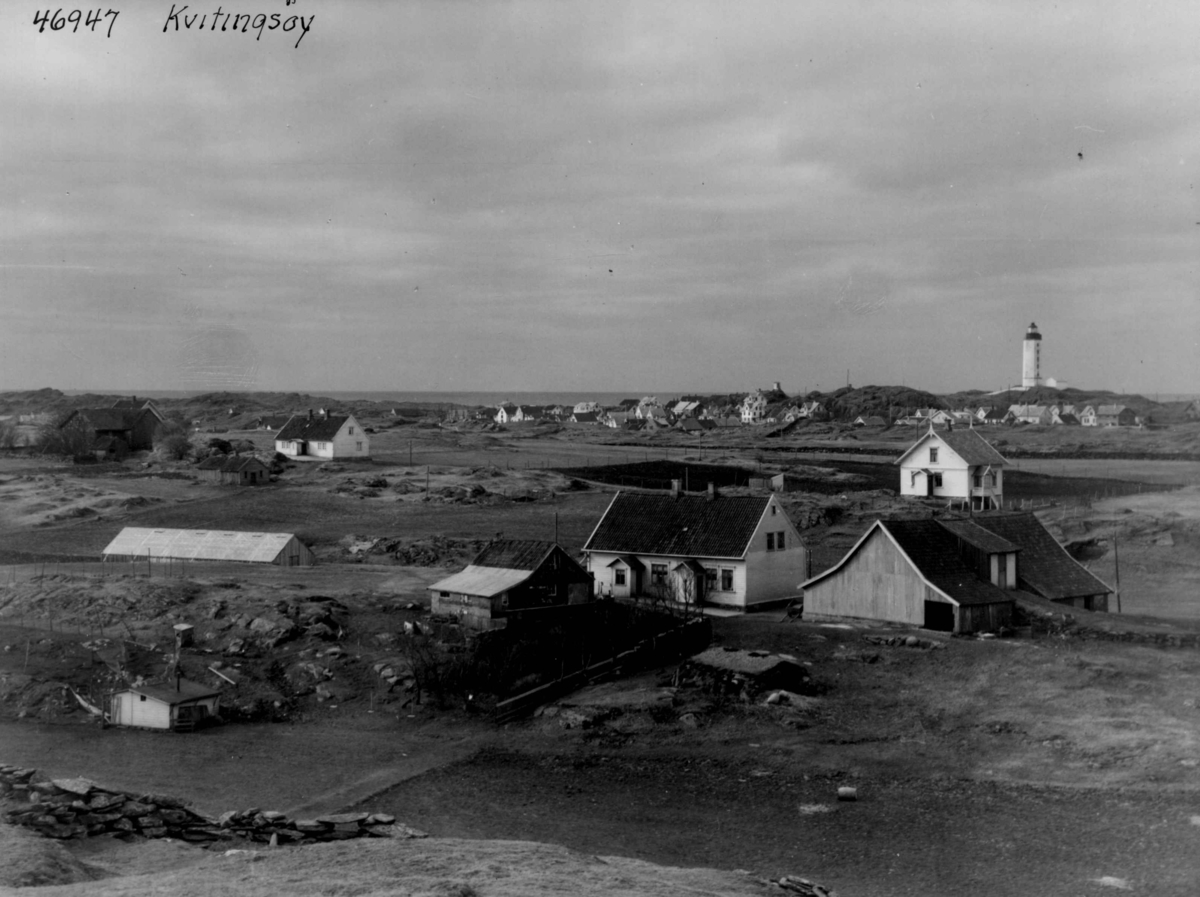 Anders Beer Wilse, Wilse original, Kvitsoy 1939.