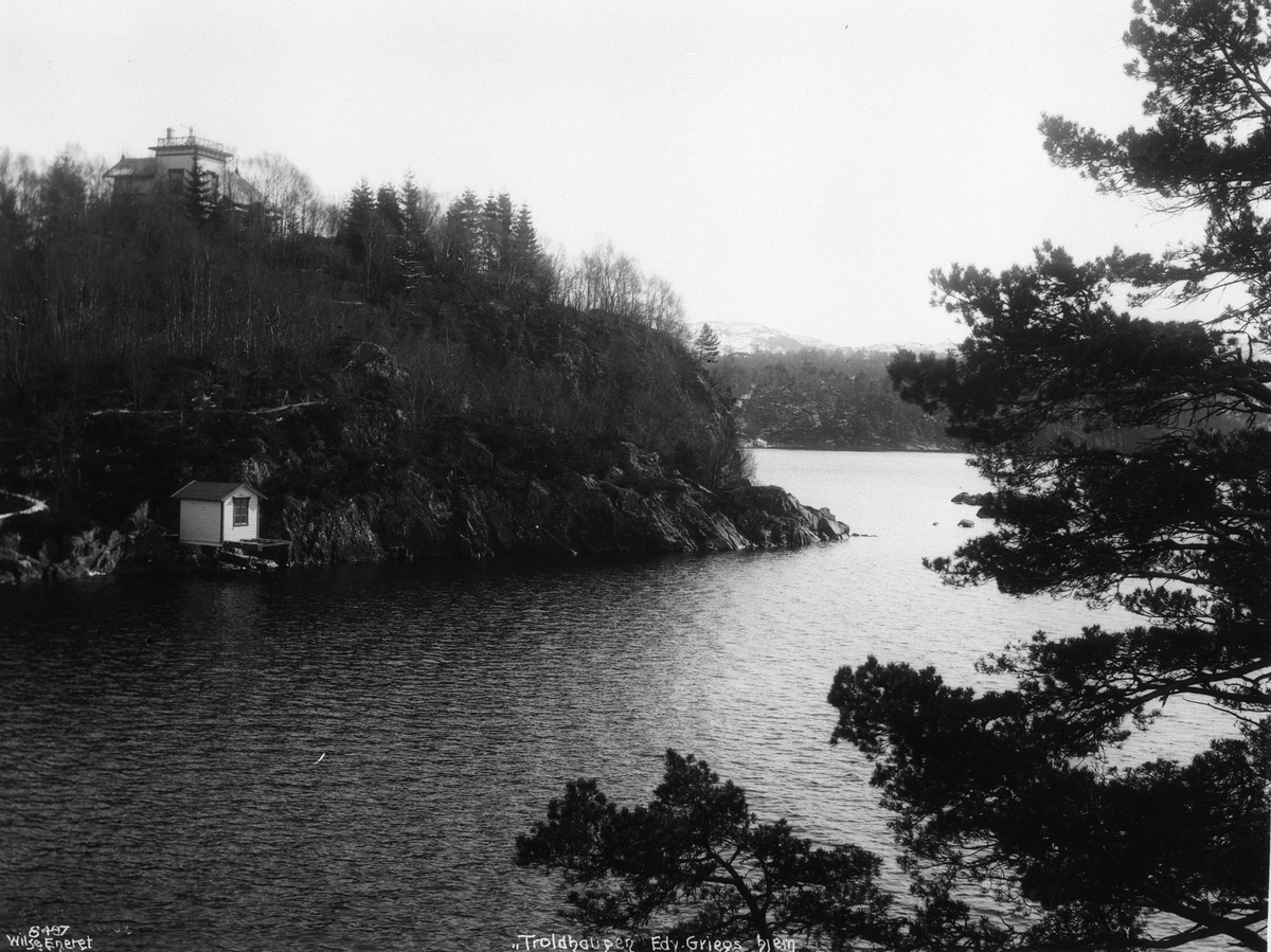 Anders Beer Wilse, Prot: Bergen - Edvard Griegs Villa Trollhaugen 23/4 1908
