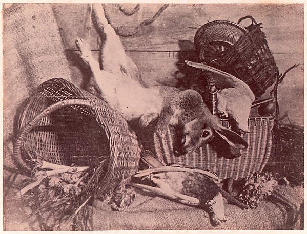 Unknown, Nature morte au lièvre