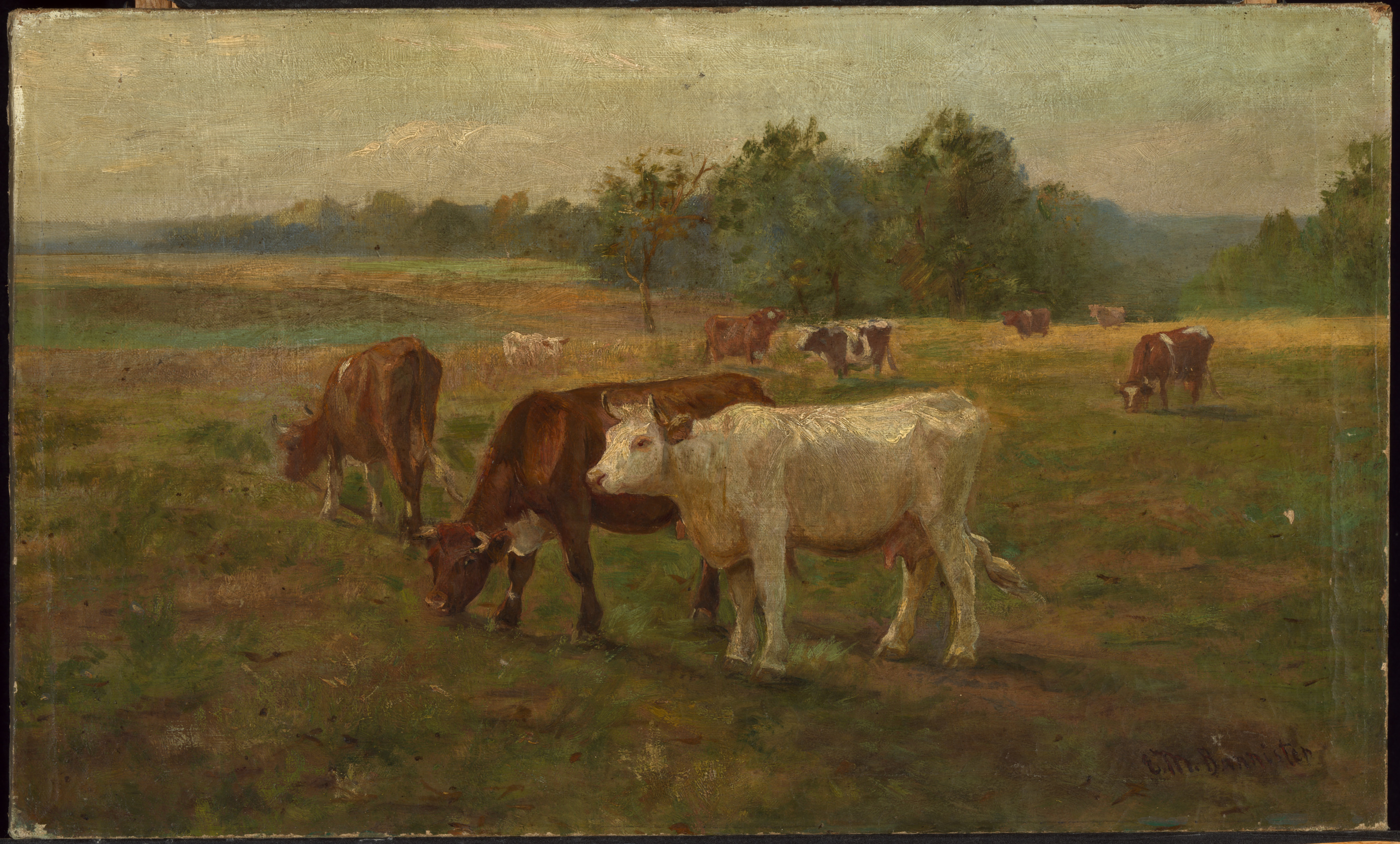 Edward Mitchell Bannister, Cows