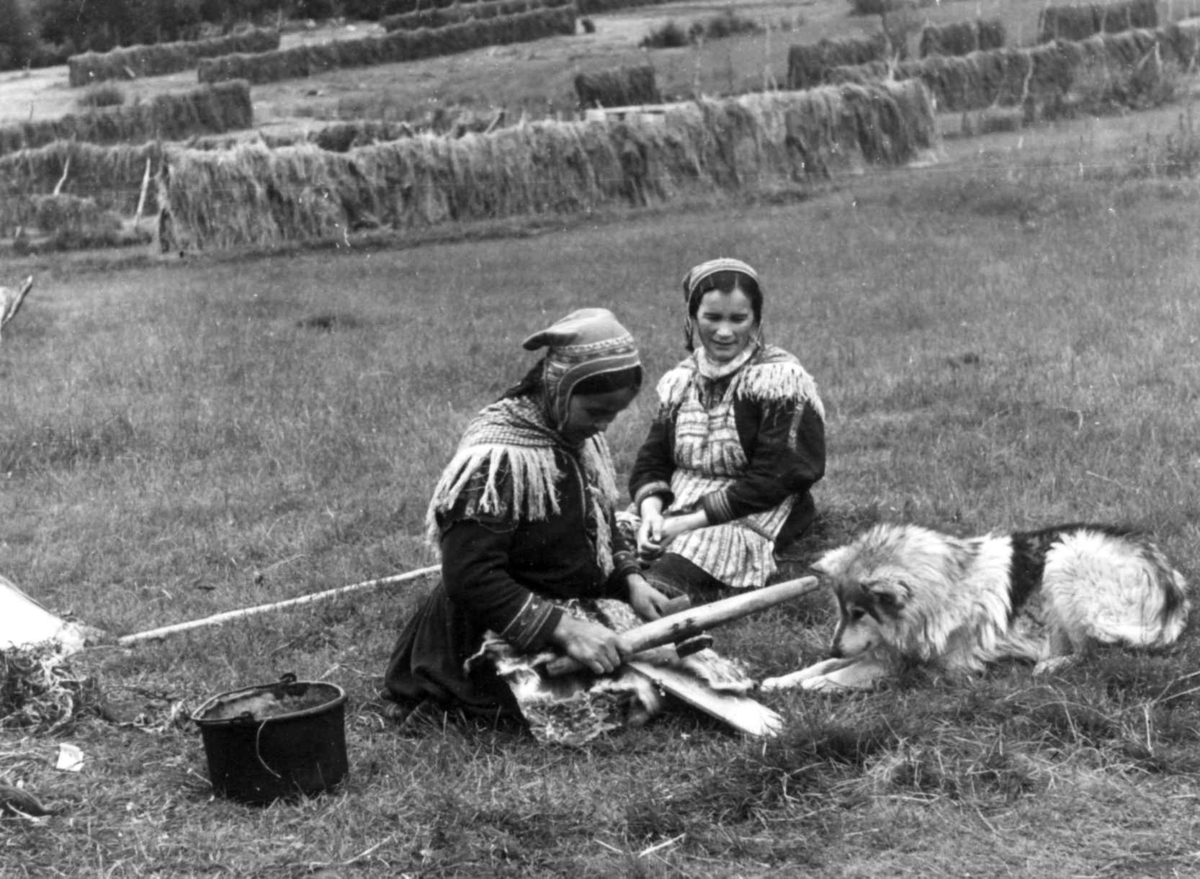 Anna Grostøl, To kvinner bearbeider skinn, en hund ligger ved siden av. Olderdalen, Kåfjord, Troms 1947.