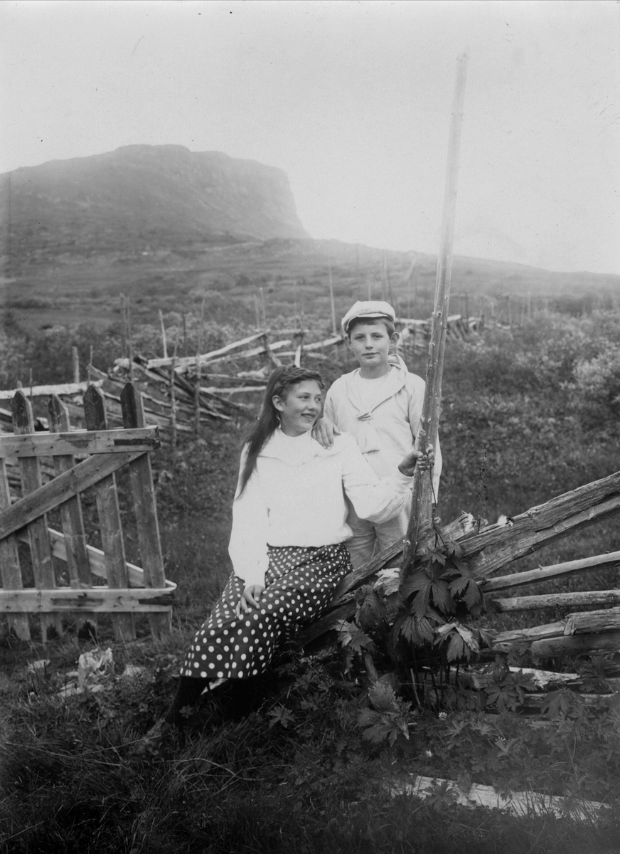 Robert Collett, Barn i landskap ved grind og skigard, ukjent sted. Serie tatt av Robert Collett (1842-1913), amatørfotograf og professor i zoologi.