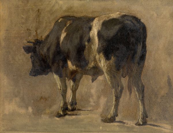 André Plumot, Bull