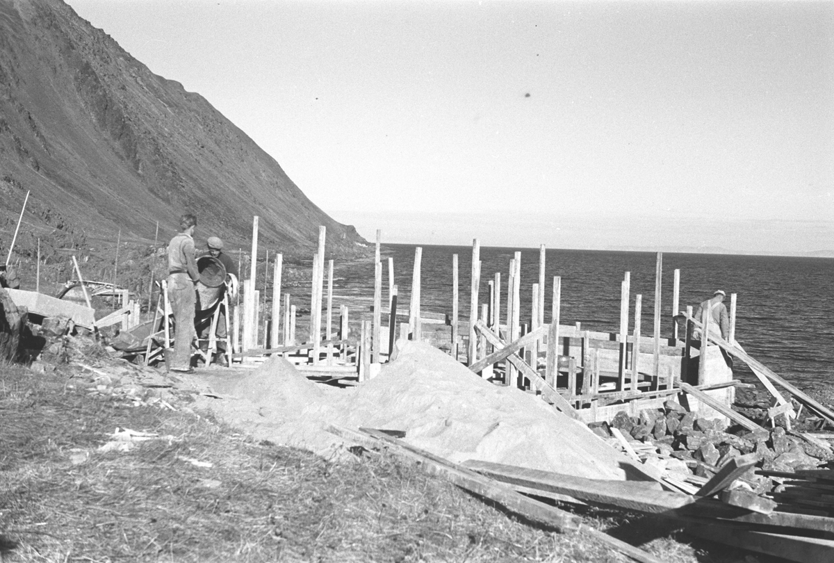 Ola Hanche-Olsen, NO.F004019