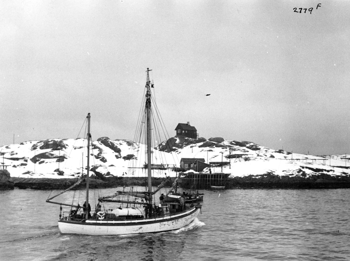 Anders Beer Wilse, Redningsskoyter