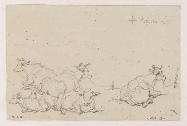 George Chinnery, Studies of cows