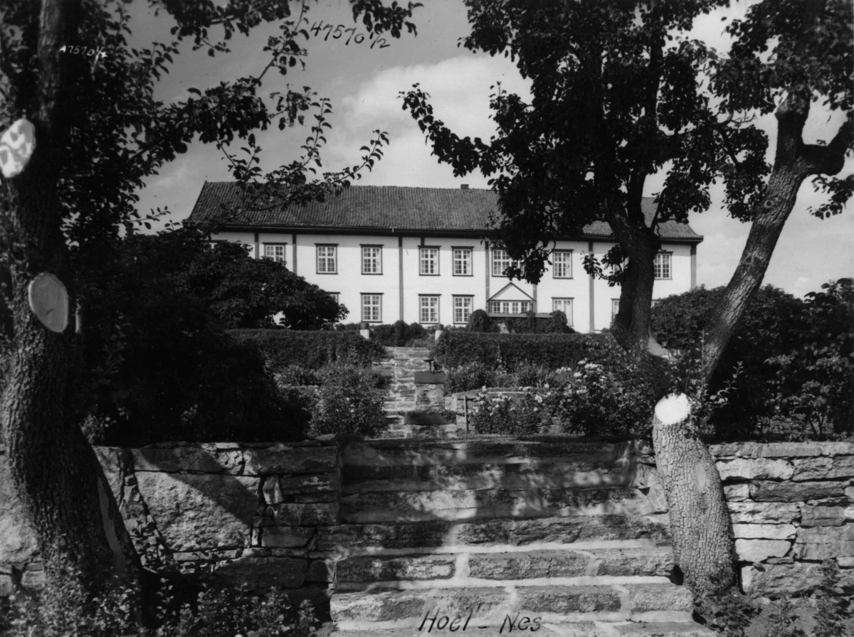 Anders Beer Wilse, Hoel gård Hage