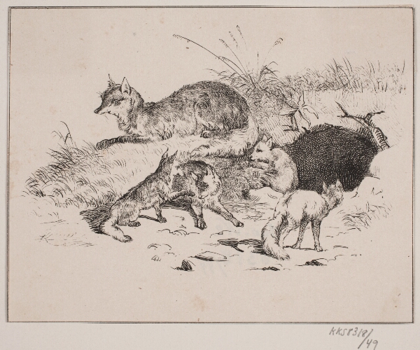 Adolph Kittendorff, Ræven