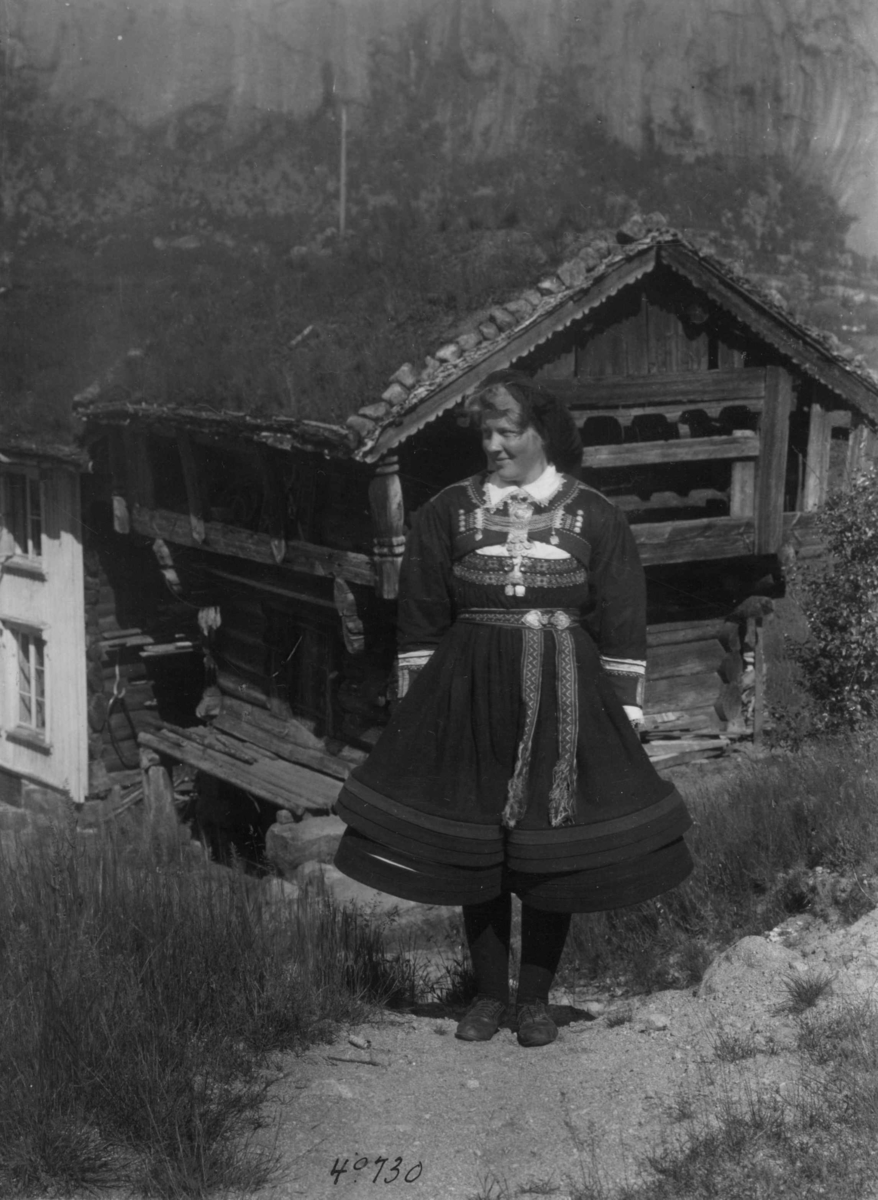 Anders Beer Wilse, Wilse original, Kvinnedrakt, Bebyggelse, Sigrid Viken