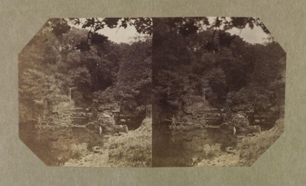 Clementina, Lady Hawarden, Photograph