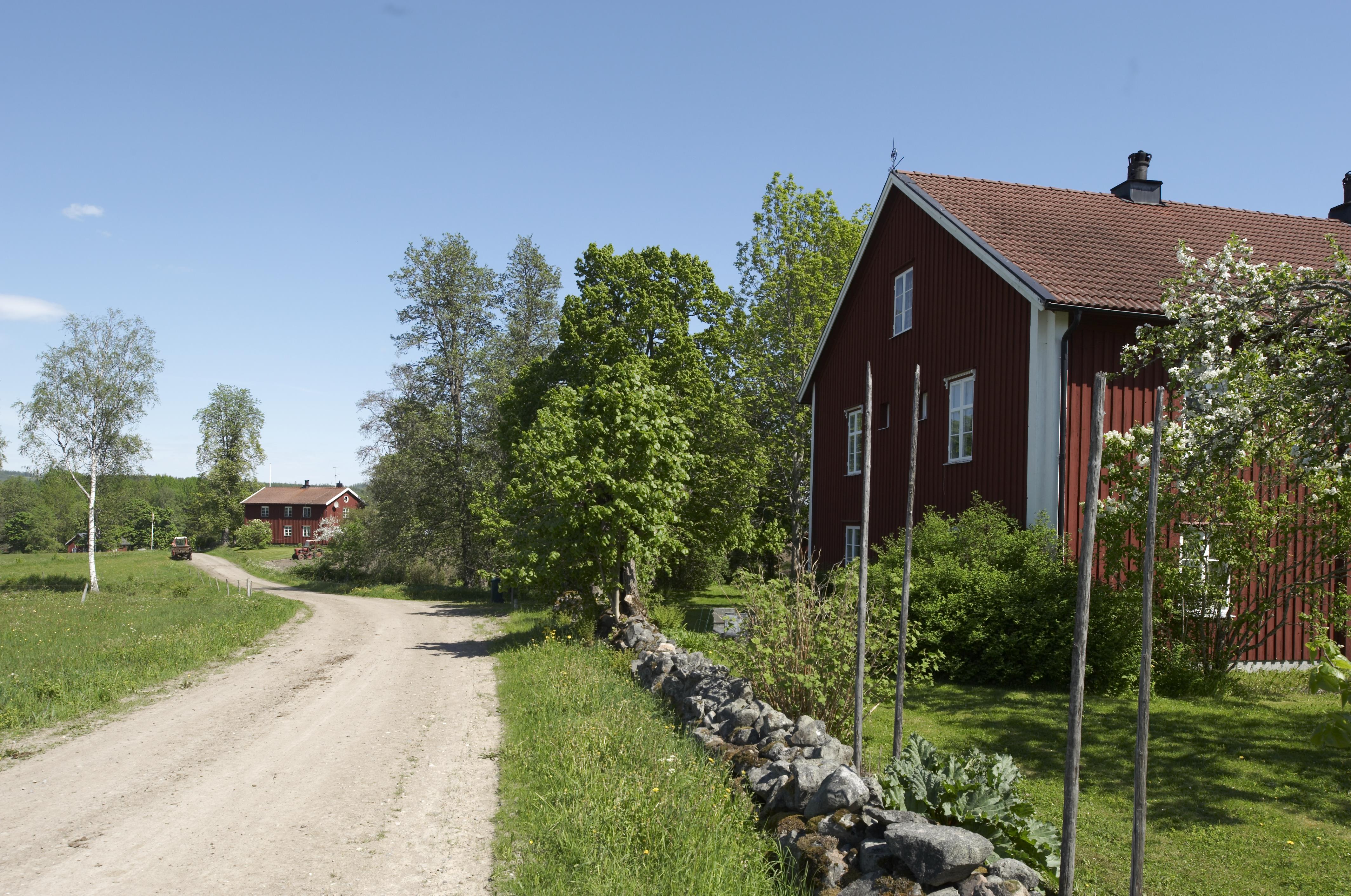 Bengt A Lundberg, Gåsborn