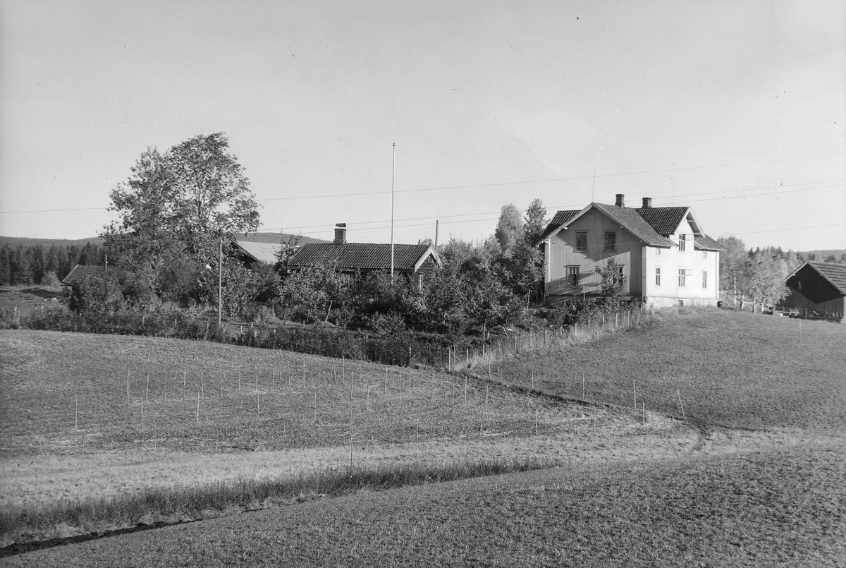 Anno Domkirkeodden, EKSTR: GARDSTUN, MORTHOV, LØTEN. Se Løtenboka, bind 1. Bygdeboka fra 1949, side 459