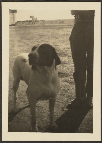 Louis Fleckenstein, [Dog]