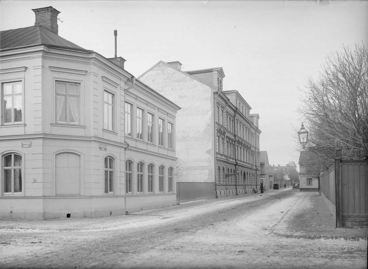 Alfred Dahlgren, Dragarbrunnsgatan 65 - Cabbage Bed 10, The Royal Bed, Uppsala 1901 - 1902