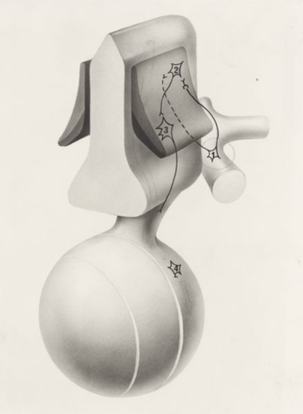 J Tinkelenberg, Part of the central nervous system