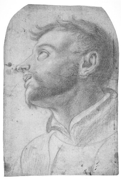 Francesco Solimena, Hoved af en mand som kigger op