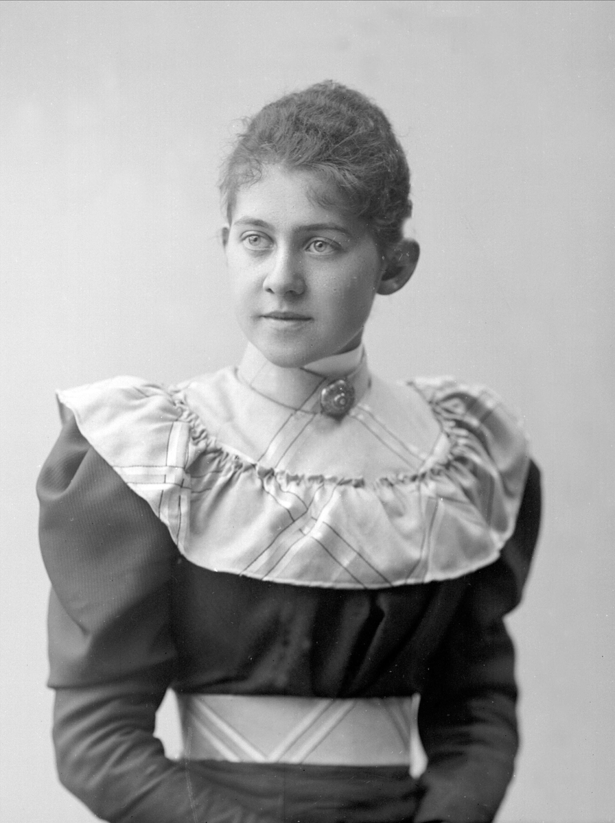 Gustav Borgen, NFB.30166