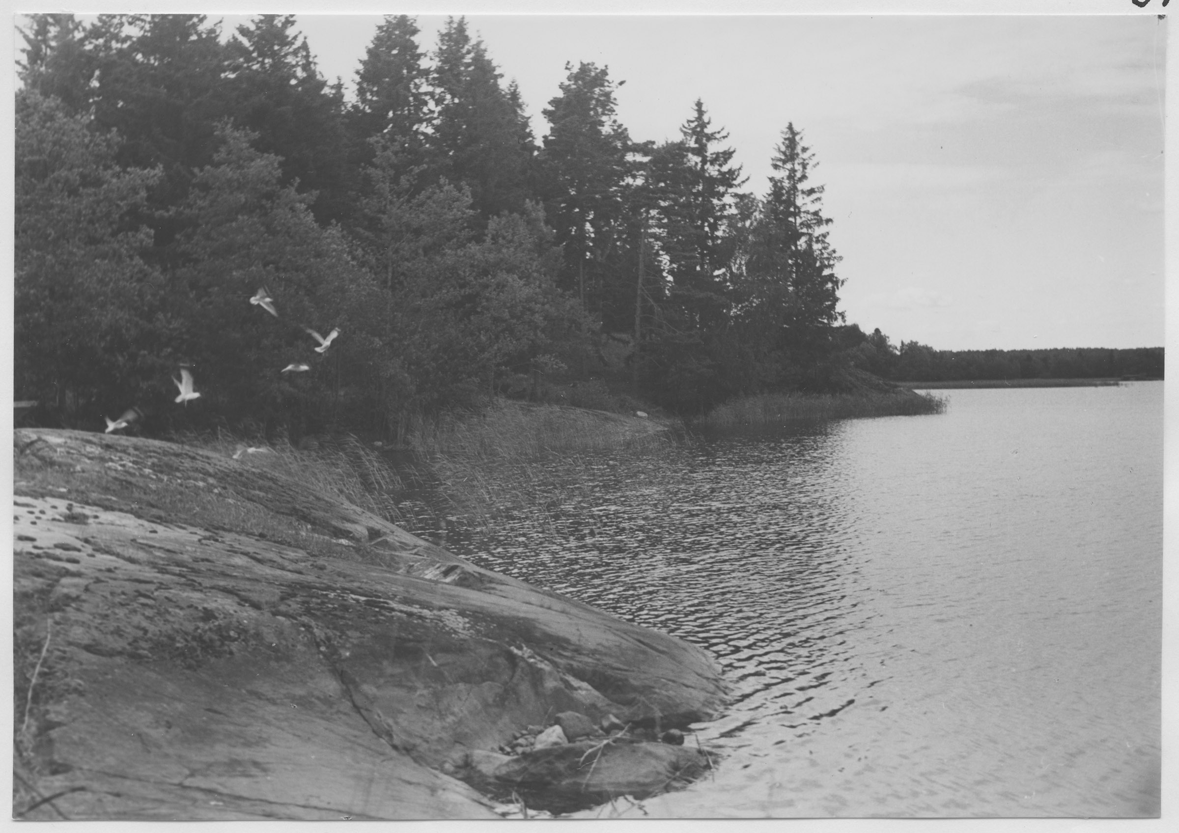 Mårten Sjöbeck, Solövägen
