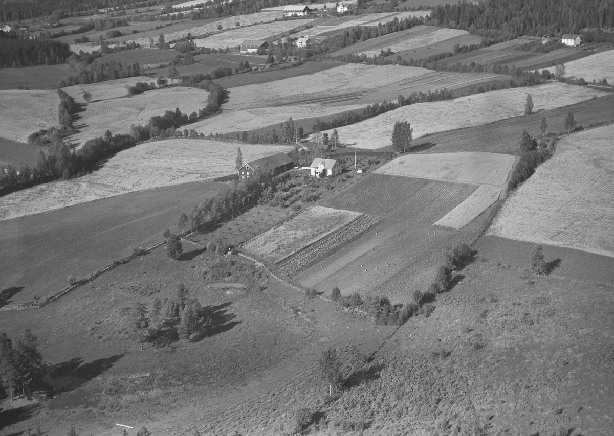 Anno Domkirkeodden, Flyfoto, gardsbruk, Vikhagen, Nes, Hedmark.