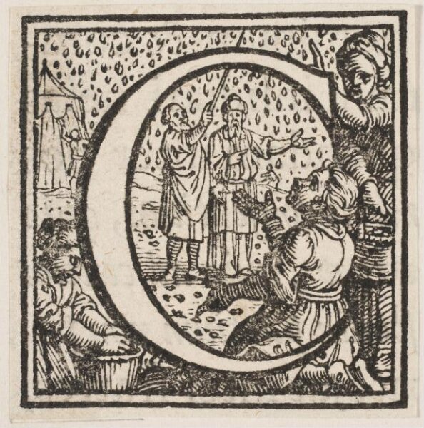 Unknown, Print