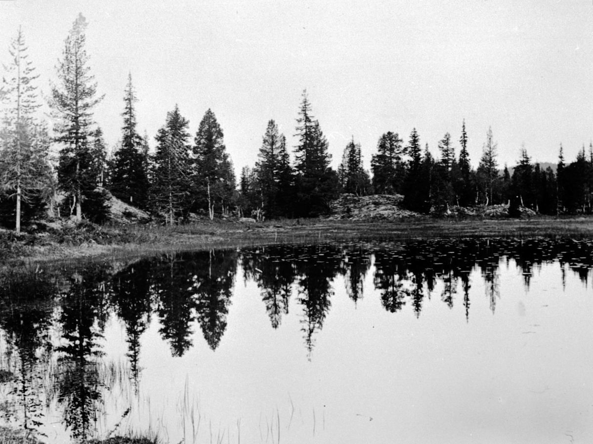 Anno Domkirkeodden, Kattugletjernet ved Gammelskolla, Ringsakerfjellet.