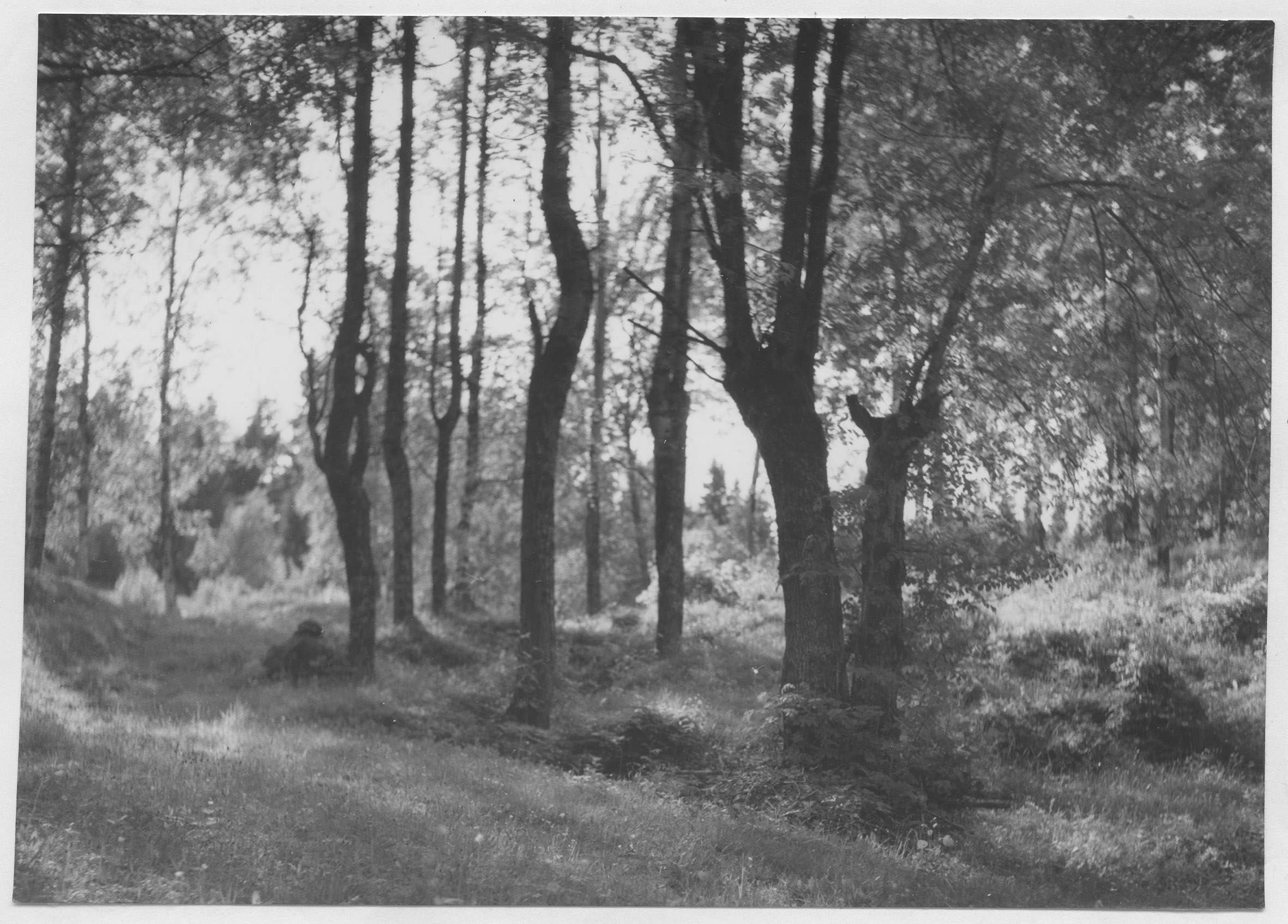 Mårten Sjöbeck, Ränsliden