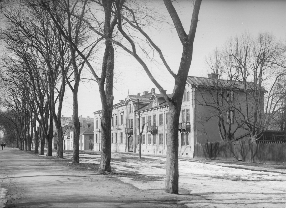 Alfred Dahlgren, The cemetery street from the Carolina Park, Uppsala 1901 - 1902