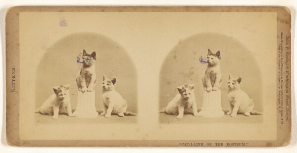 John P. Soule, "Cat-a-line on the Rostrum."