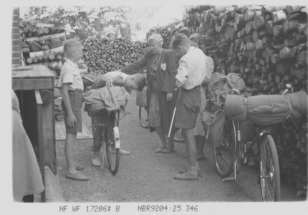 Anders Beer Wilse, NF.WF17206*B