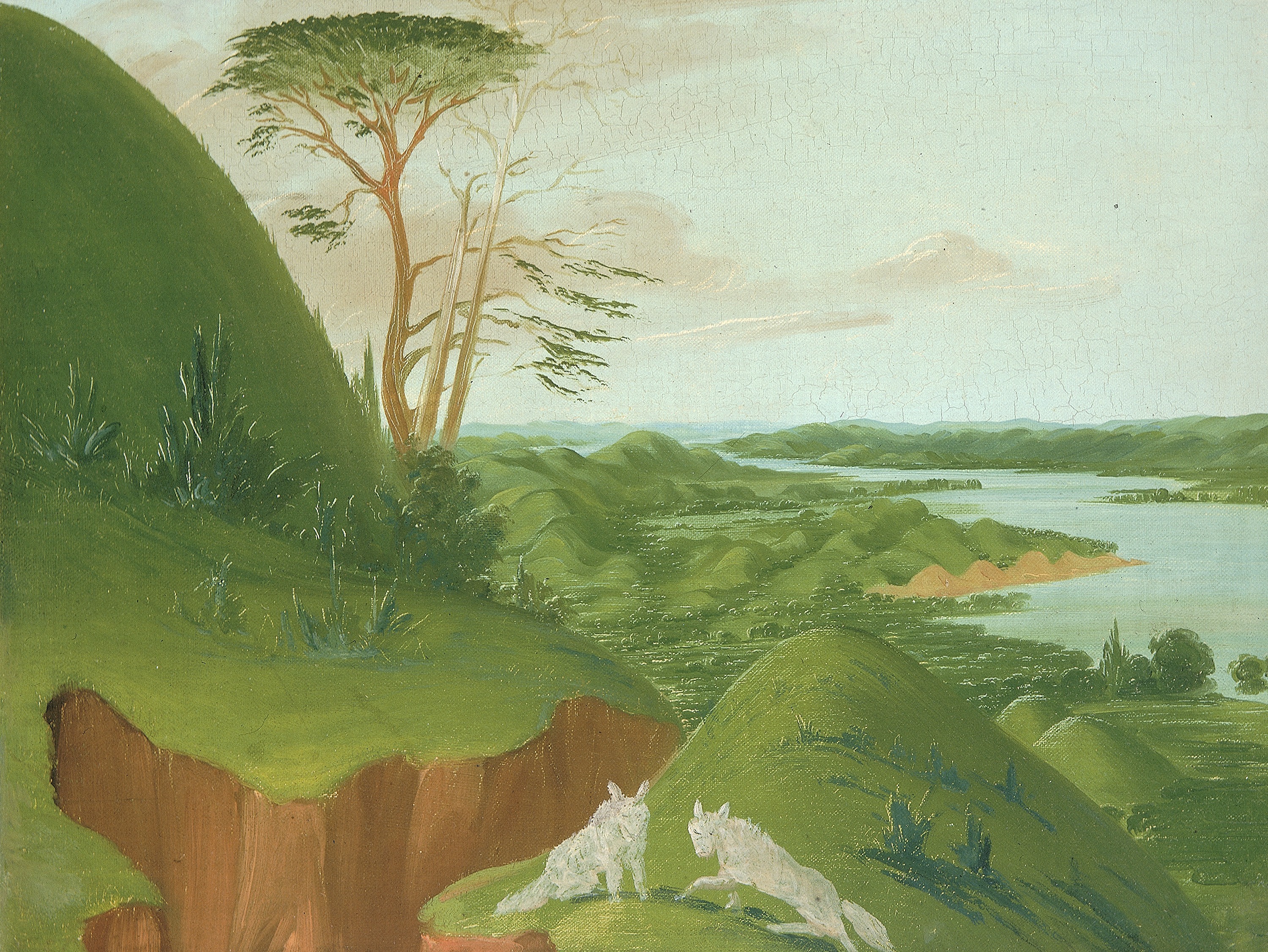 George Catlin, River Bluffs with White Wolves in the Foreground, Upper Missouri