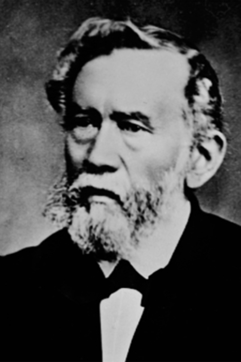 Anno Domkirkeodden, PORTRETT ORDFØRER PROKURATOR P. Z. ARENTZ, 1858 OG 1861. Verv i Oplandske Kreditbank, Hamar. Administrator i filialen 1863-1876. Medlem av Kreditbankens direksjon 1877-1882.