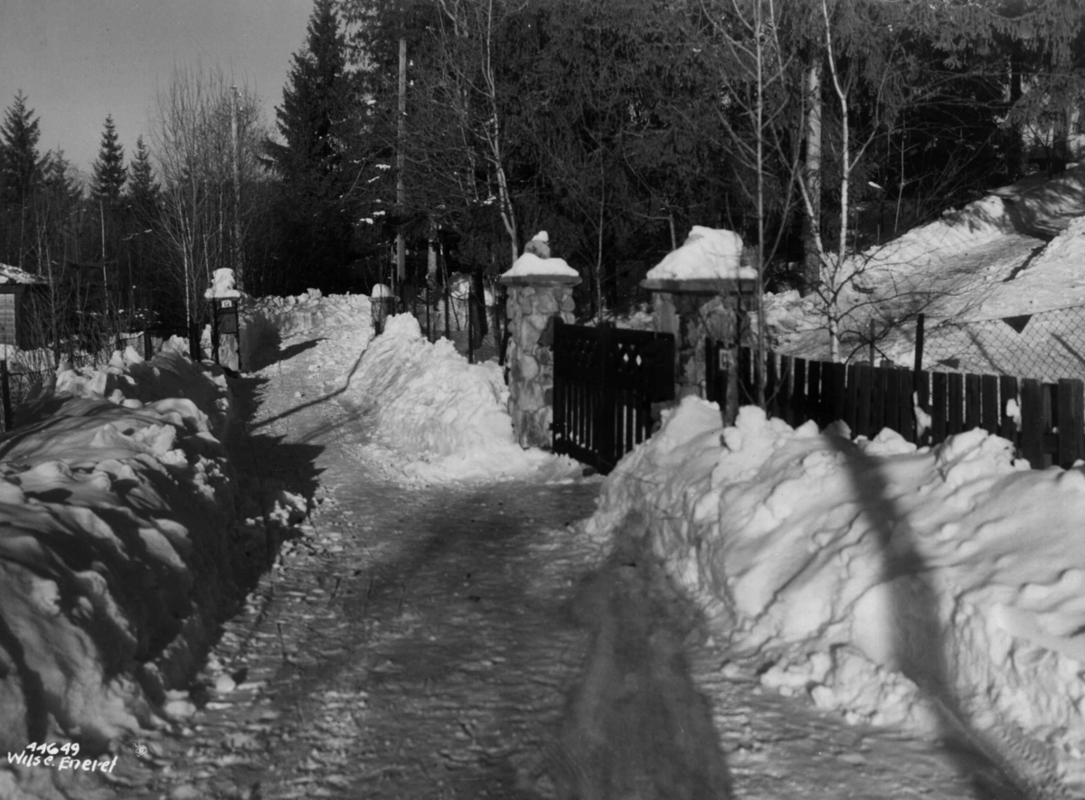 Anders Beer Wilse, Wilses bolig, Villa Rainer, oppkjorsel vinter.